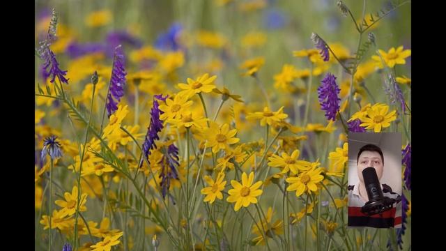 Истории из жизни | Свекровь переписала квартиру на вну