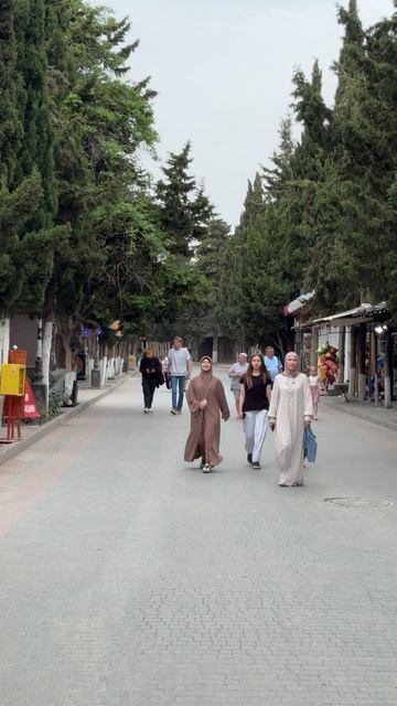 Знаменитая Кипарисовая аллея в Судаке. Судак 2025 Крым сегодня #крым #судак2025 #судаксегодня смотреть онлайн