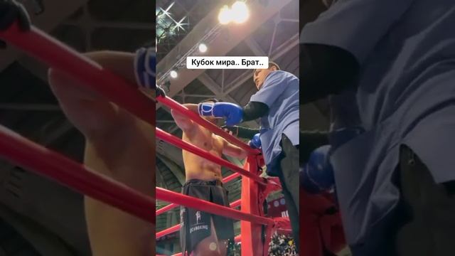 30 сентября 2024 г.