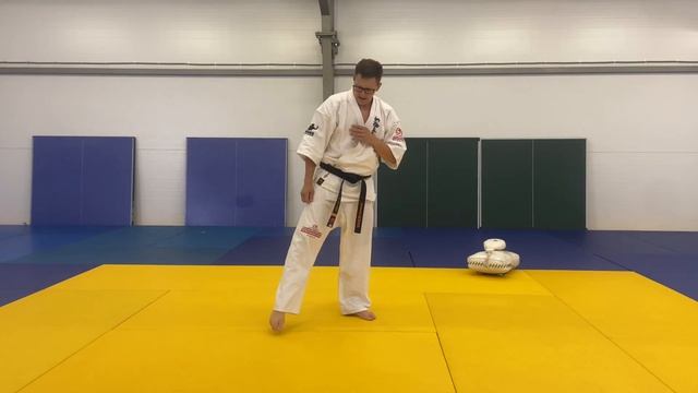 Brazilian kick. Куби маваши гери. Разбираемся в тонкостях уда смотреть онлайн