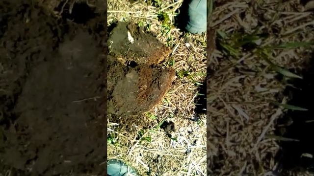 Первые дни с MD 40 30 смотреть онлайн