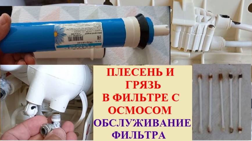 Плесень и грязь внутри фильтра. Ремонт и Техническое Обслуживание фильтра с обратным осмосом.