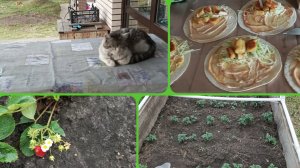 VLOG Сильно упала. Высадили перец. Ходили в магазин