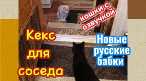 Кошки с озвучкой. Новые русские бабки «Кекс для соседа»