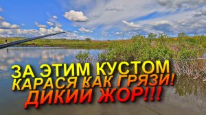 ПРИКОРМИЛ И ПОПЕРЛО! ЛОВЛЯ КРУПНОГО КАРАСЯ ВЕСНОЙ НА ПОПЛАВОК! КАРАСЬ НА ПОПЛАВОК ВЕСНОЙ/ЖОР КАРАСЯ