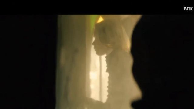 "Наследники ночи", 5 серия, 1 сезон смотреть онлайн