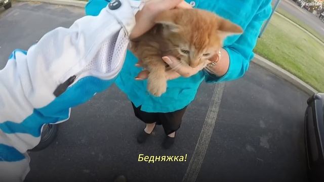 Девушка Отчаянно Пытается Остановить Поток Машин, Чтобы Спасти Котенка смотреть онлайн