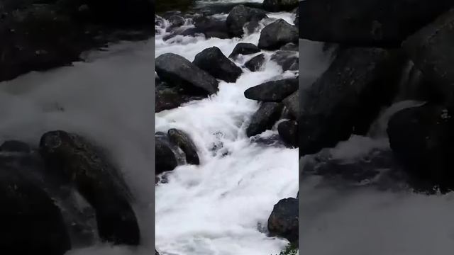 Когда ты мне свою квартиру отдашь? Свекровь пытается о