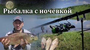 Рыбалка на карася и толстолобика 2025🎣 Ждал два дня этих поклевок! #рыбалка #fishing #carpfishing