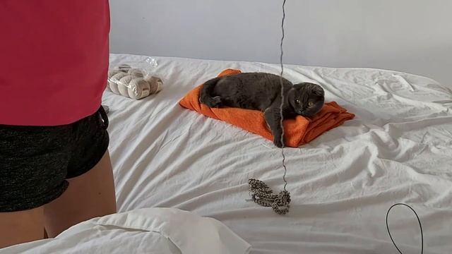 История одного джемпера, вяжу, распускаю, и парралельно живу и радуюсь смотреть онлайн