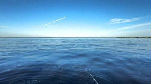 Отдых на берегу Ладожского озера! Кириково. Белое коле