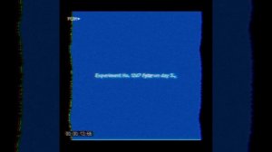 эксперимент №1247 эпизод lost media|мой тгк в описании видео)