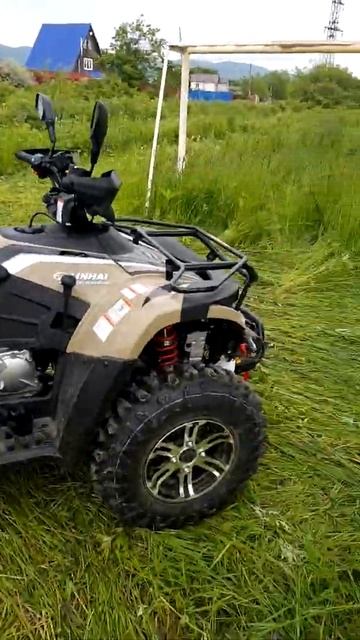 5 августа 2020 г.