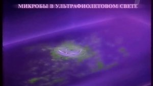 Реклама Domestos Сливной бачок 2007 (RU)