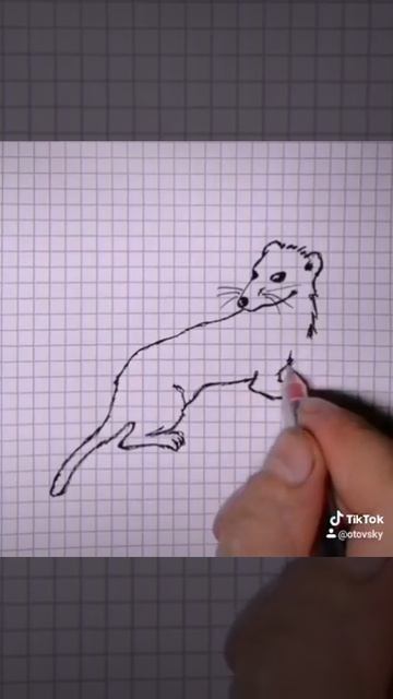 Мангуст смотреть онлайн