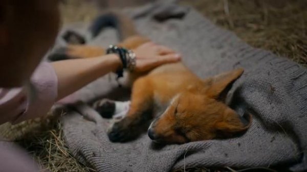 Добрый поучительный фильм с правильной моралью и прек