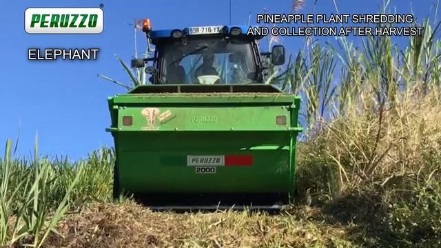 Elephant 2 смотреть онлайн