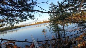 Охота на уток 2025