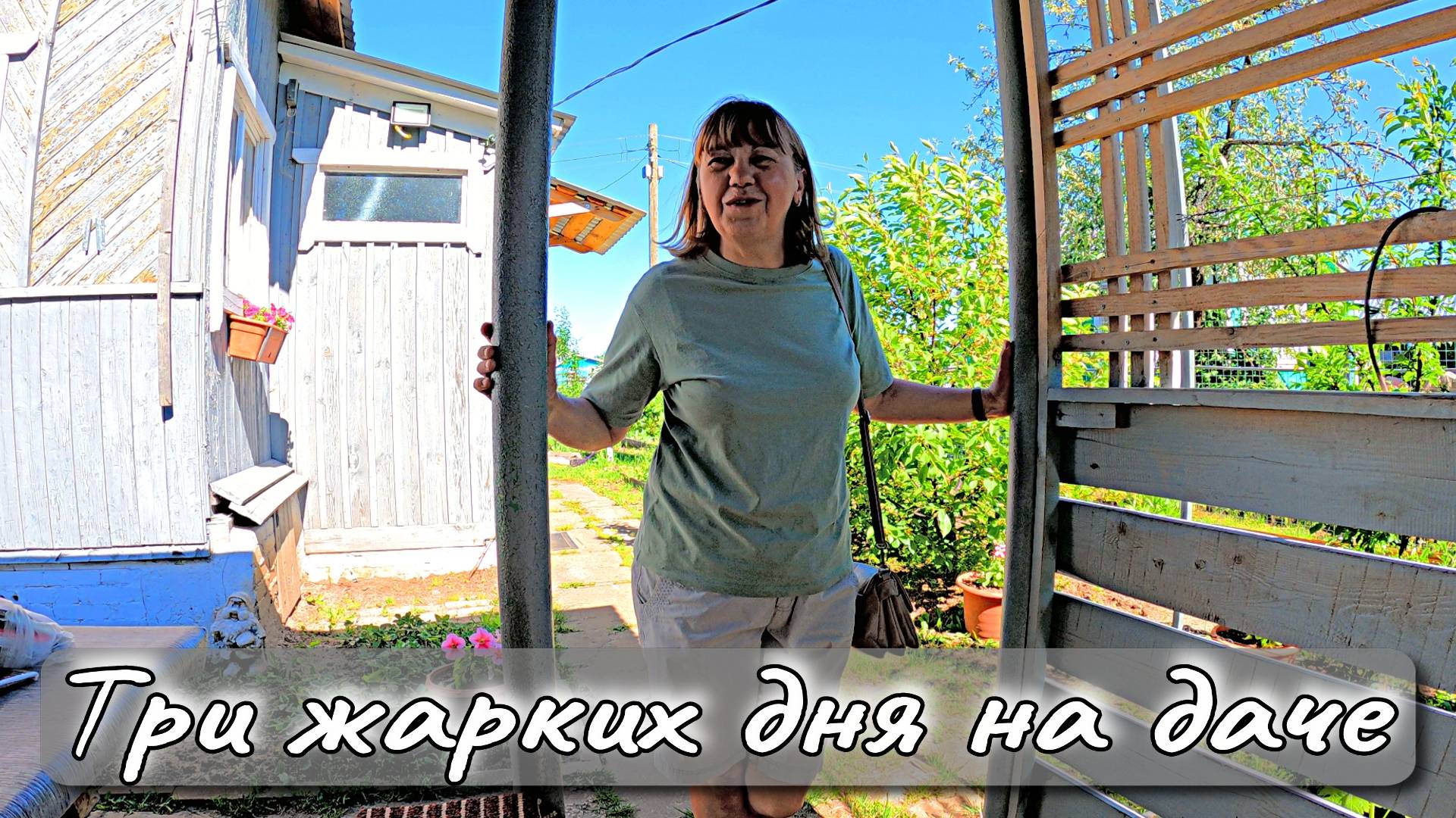 ТРИ ЖАРКИХ ДНЯ НА ДАЧЕ смотреть онлайн