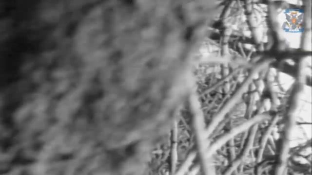 Военкоры смотреть онлайн