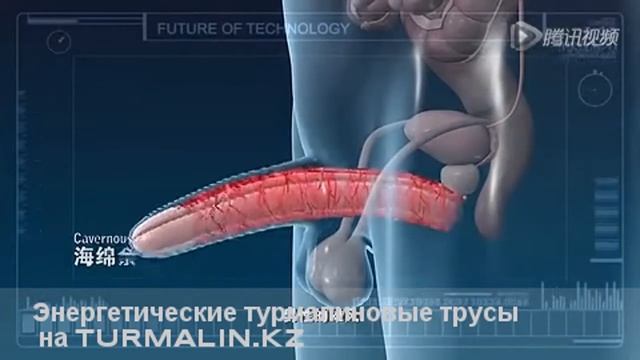 Энергетические турмалиновые трусы смотреть онлайн