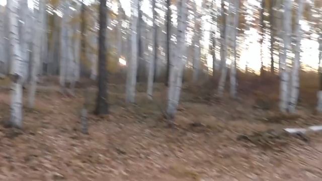 Тропа к могиле Улукиткана - проводника эвенка в экспедициях писателя Г. А . Федо смотреть онлайн