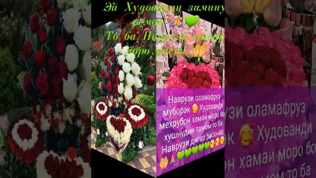 табрикоти Наврузи 💚💚💚 смотреть онлайн