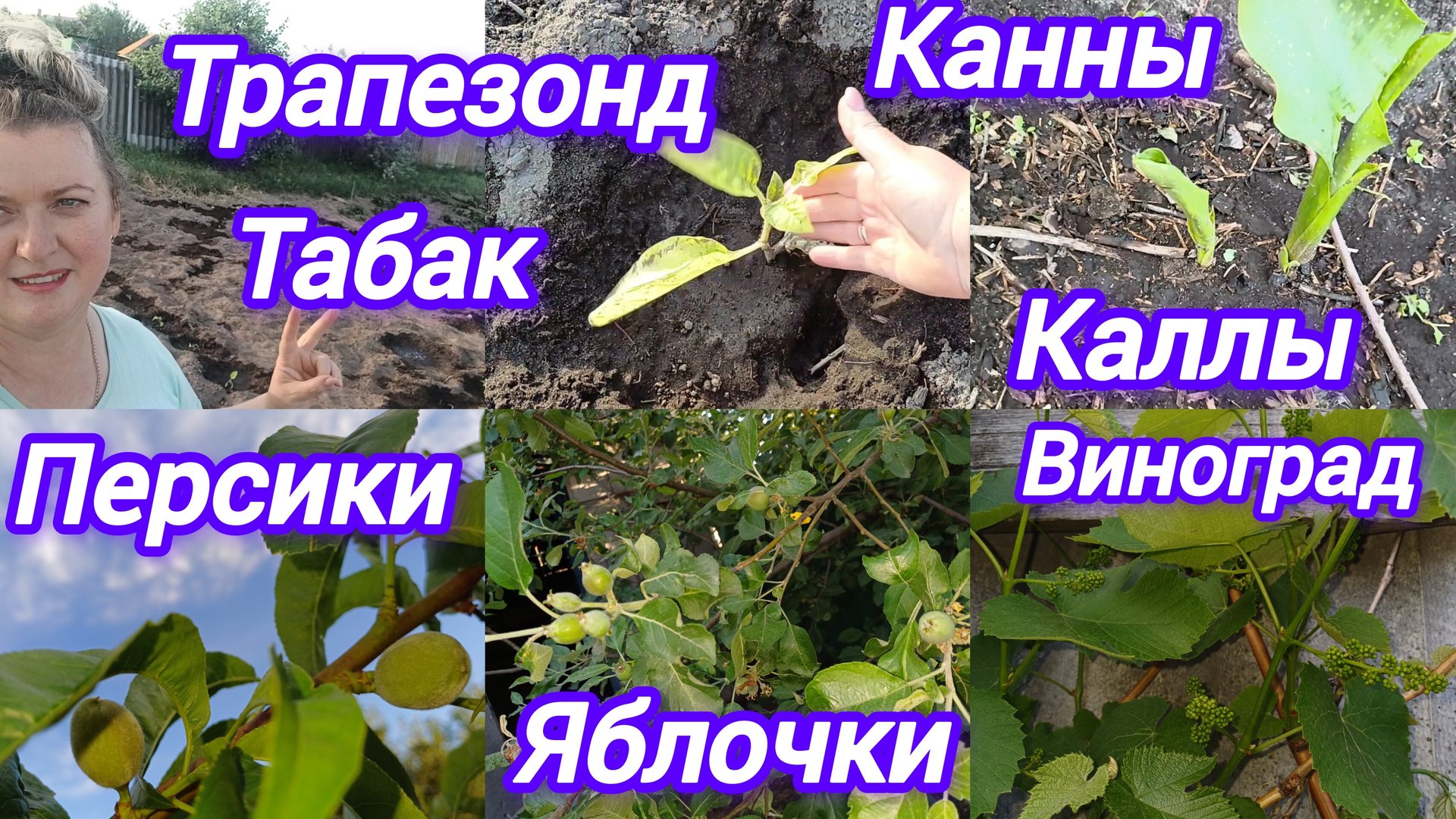 ПОЛИВАЮ ОГОРОД. ПОСАДИЛА ТРАПЕЗОНД смотреть онлайн