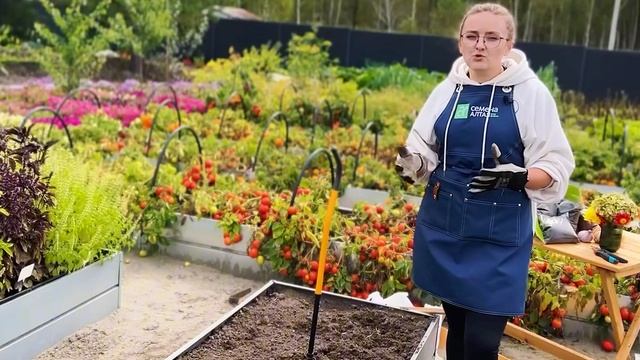 КАК ПОСАДИТЬ ЧЕСНОК ОСЕНЬЮ? смотреть онлайн