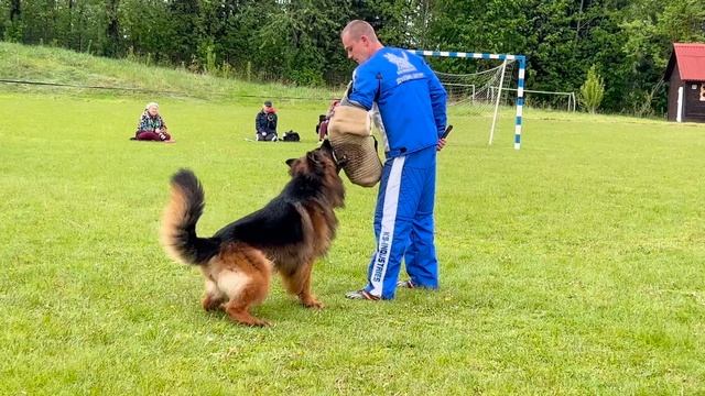 2 Отл. Team Zilber Wasserfall D-AKBARS +++ №109 / КЧК+ БОРИСОВ (BY) 17 мая`25 M.Jovovic Моно нем.овч