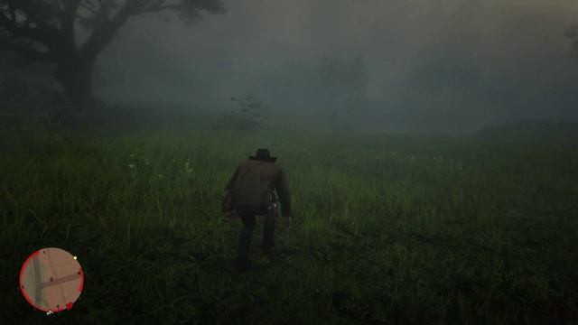 Red Dead Redemption 2 - Mission #29 - The Course of True Love [История настоящей любви] смотреть онлайн