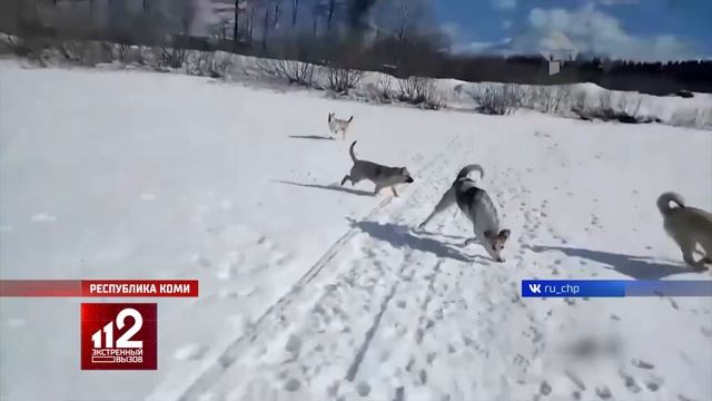 Экстренный вызов 112 эфир от 04 04 2019 года смотреть онлайн