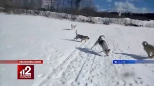 Экстренный вызов 112 эфир от 04 04 2019 года