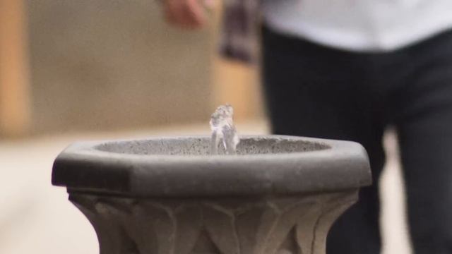 Akop Jan - ПРЕМЬЕРА 2025 Իմ հողն ու ջուրը #akopjan #իմհողնուջուրը