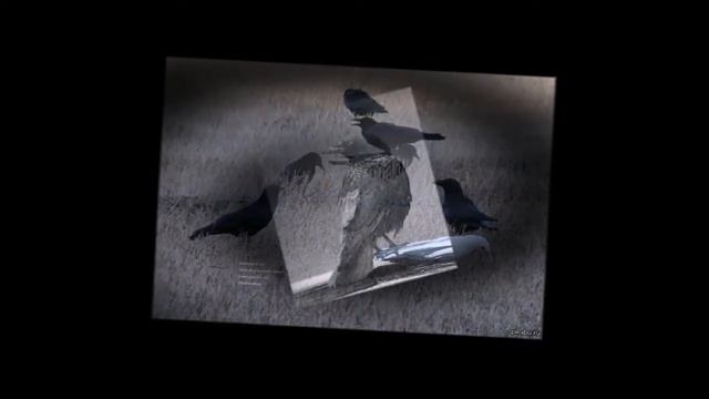 Жизнь не в розовом цвете смотреть онлайн