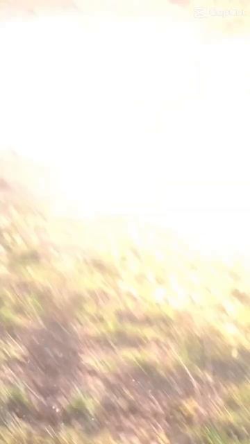 #подснежники #природа #казахстан смотреть онлайн