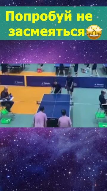 Кот с озером в лесу. смотреть онлайн