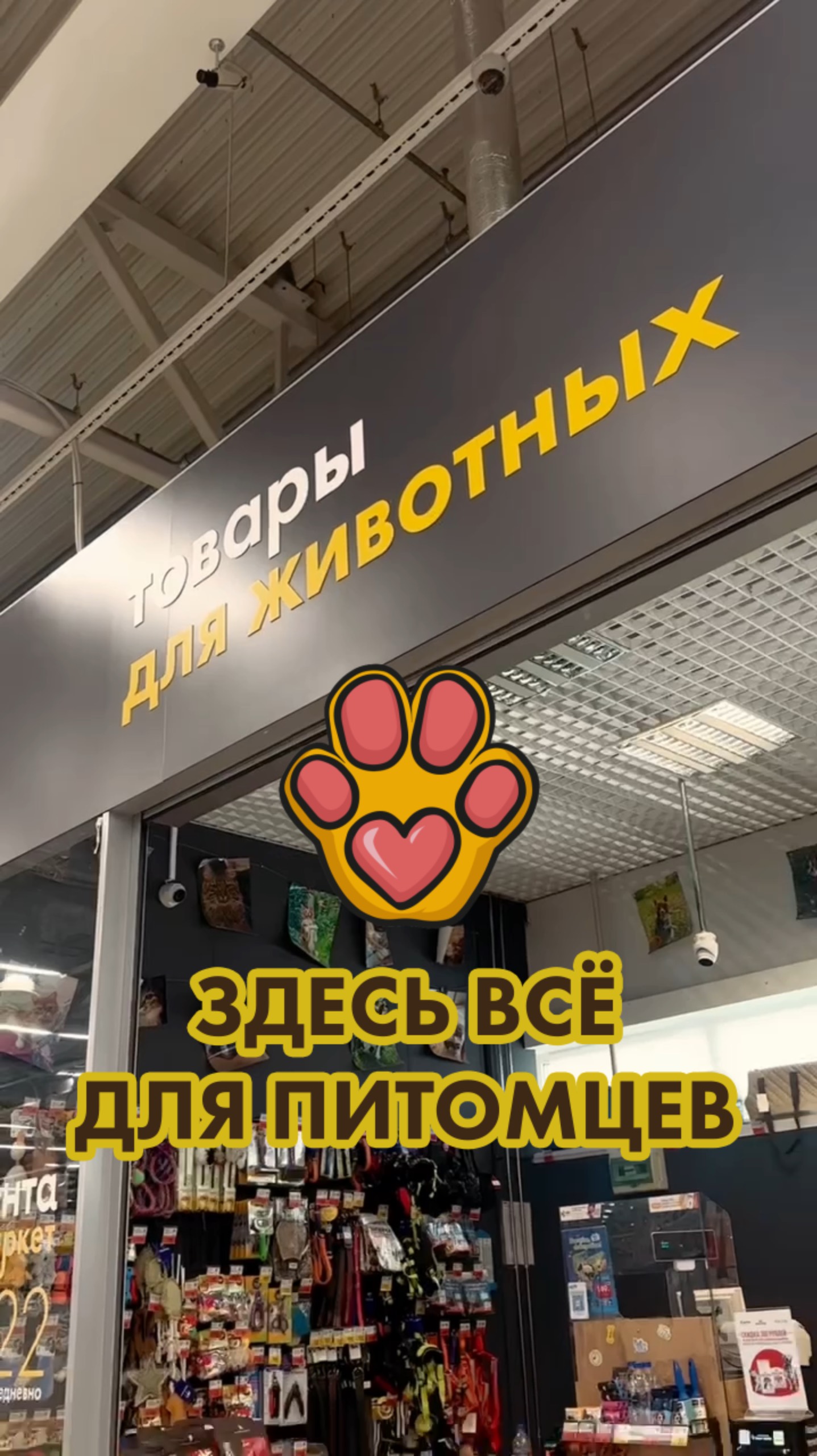 Всё для питомцев со зверскими скидками — в «Ленте Зоомаркет» 😻 смотреть онлайн