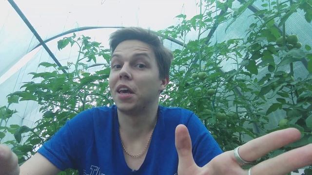 Обзор Akhtamar Black Flame / Армения смотреть онлайн