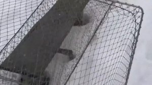 Как сделать и изготовить, Рыболовная мережа - две бочки и между ними крыло.