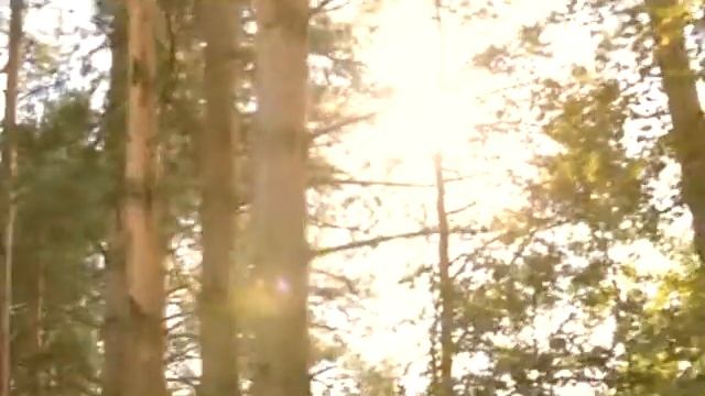 Алла Резникова. Леди Босс 2016. Босс Муви. смотреть онлайн