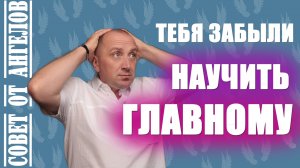 Тебя забыли научить главному. Совет от Ангелов - Михаил Агеев