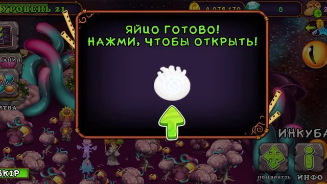 Вывел корнедуда(MSM)