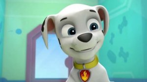 💗|Маршал и Скай - Любовные пары щенков|💗