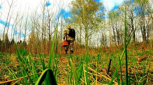 ГРИБНИК ЗАШЕЛ В ОСИНЫ И ОБАЛДЕЛ! ОДИН В ЛЕСУ ТАКОГО НЕ ОЖИДАЛ! СОБРАЛ И ПРИГОТОВИЛ ГРИБЫ 2025