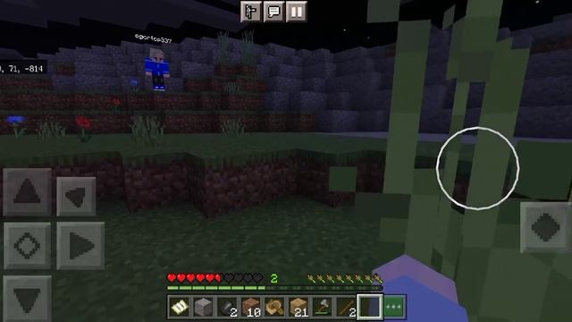 выживание Майнкрафт 1.17.32 смотреть онлайн