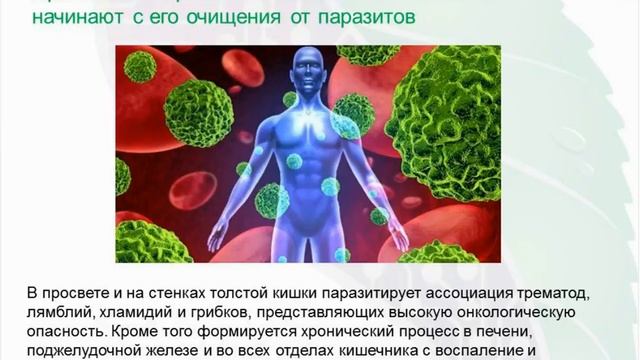 Доктор Малютина. Системная программа «Болезнь Крона» смотреть онлайн