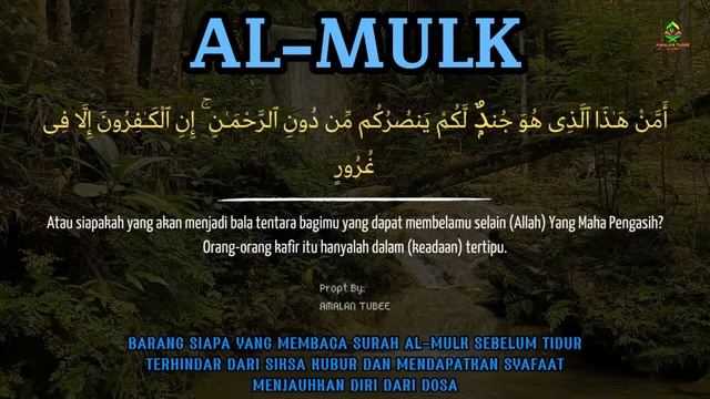 Лоуфай Коран: Сура Аль-Мульк для Спокойного Сна и Расс?