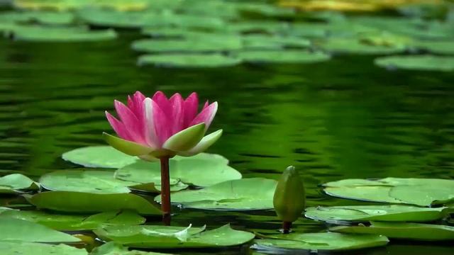 МОЙ ДРУГ ПОЗНАКОМИЛ МЕНЯ СО СВОЕЙ ДЕВУШКОЙ, ОКАЗАЛАСЬ смотреть онлайн