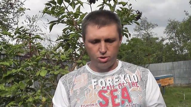 Дмитрий Вертаев - пчеловод смотреть онлайн